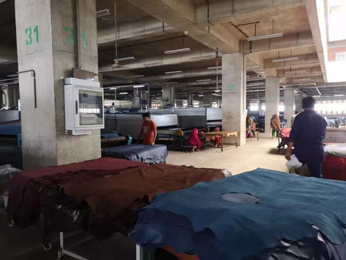 互联网服务赋能皮革行业 从中国皮革展看未来发展